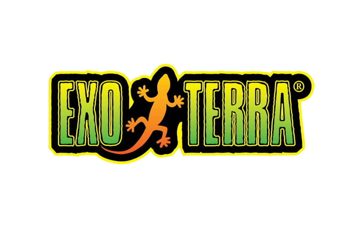 Diseño sin título (2)